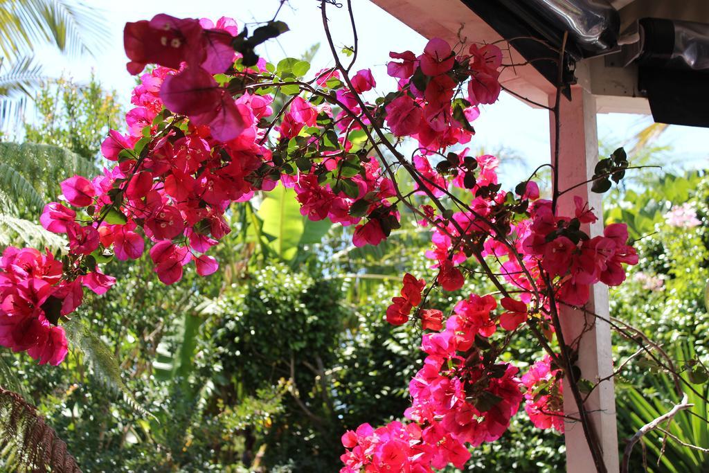 Peace And Plenty Inn Auckland Luaran gambar
